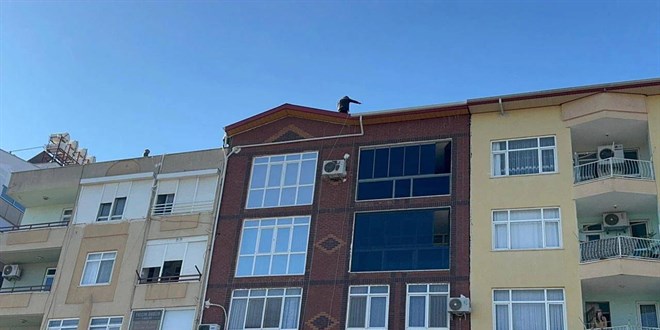 Dişlerini yaptıramadığı için çatıya çıkan kişi intihar girişiminde bulundu