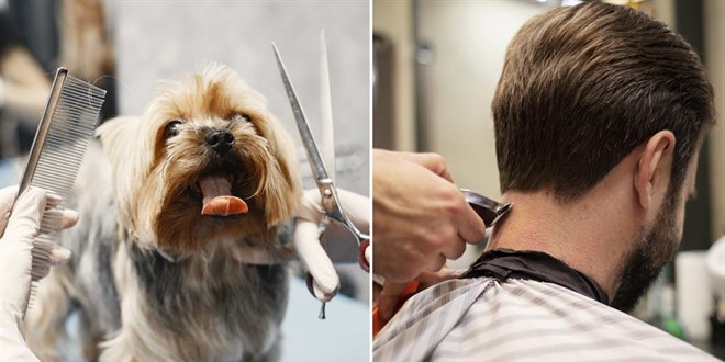 Berberlerde yeni tarife! Köpek tıraşı geldi