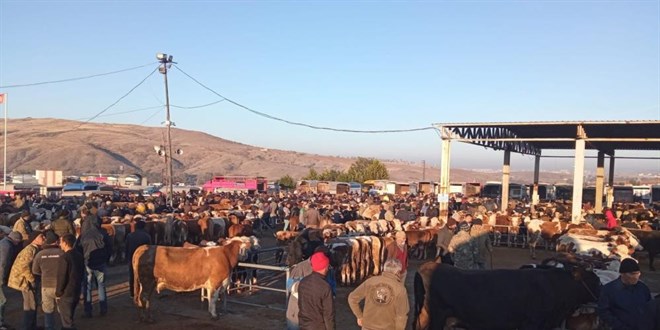 Yozgat'ta üç ilçede hayvan pazarları geçici olarak kapatıldı