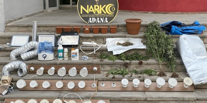 İşyerinde kurduğu serada uyuşturucu yetiştirdi