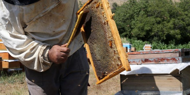 Bitlis balı tescillendi