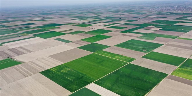 Yeni KOP Eylem Planı Konya Ovası'nı dört koldan canlandıracak