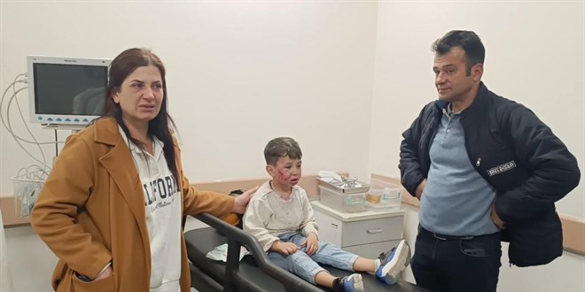 Samandağ'da sahipsiz köpek saldırısında çocuk yaralandı