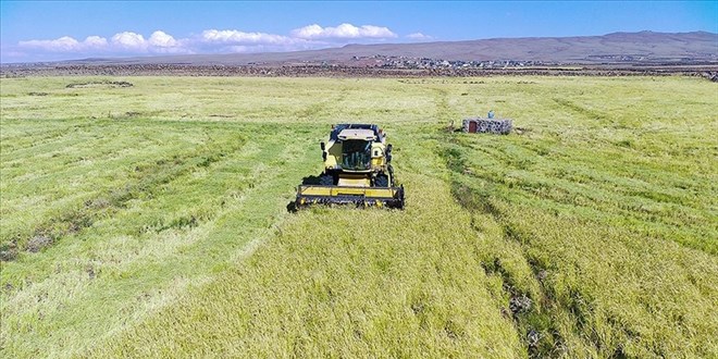 Çiftçilere 985,9 milyon lira tarımsal destekleme ödemesi yapılacak