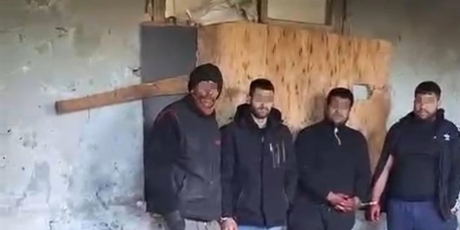 İzmir'de at eti keserken suçüstü yakalandılar
