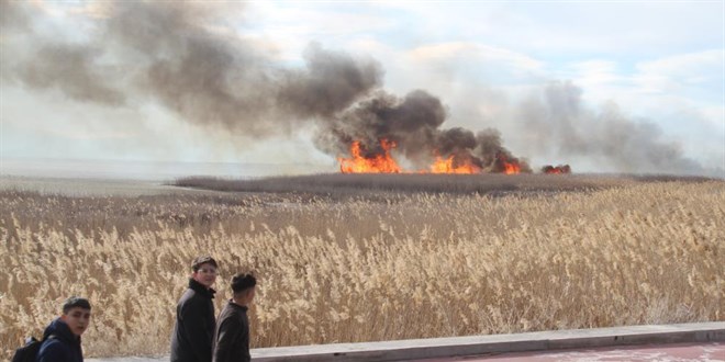 Beyşehir Gölü Milli Parkında sazlık alanda yangın
