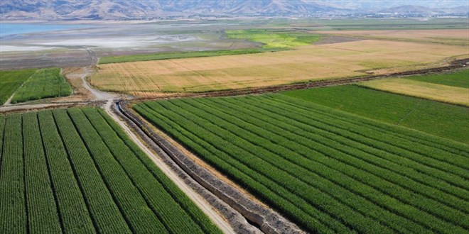 Çiftçilere 3,3 milyar lira destek ödemesi bugün yapılacak
