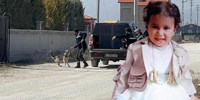 DMM'den köpek saldırısında ölen Rana'ya ilişkin açıklama