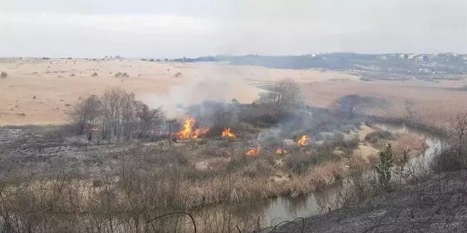 Sakarya'da başlayan yangın Kocaeli'ye sıçradı