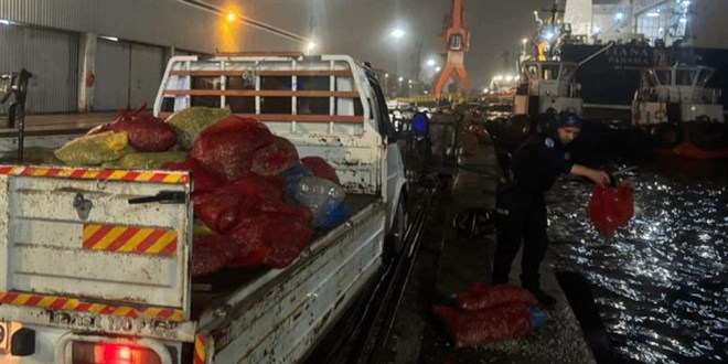 Samsun'da kaçak avlanan 2 ton midye yakalandı