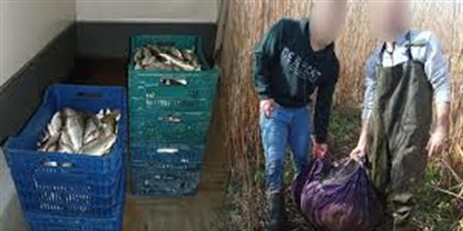 İznik Gölü'nde Kaçak Avcılığa 164 Bin Lira Ceza