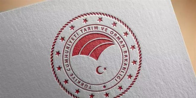 81 ilde 'Orman Benim' etkinliği düzenlenecek