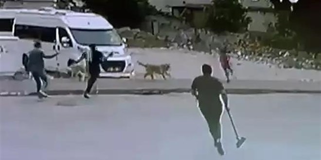 Başıboş köpeklerin saldırdığı çocuğu esnaf kurtardı