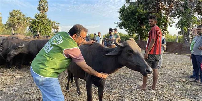 İHH Kurban Bayramı'nda 3,5 milyon kişiye ulaşmayı hedefliyor