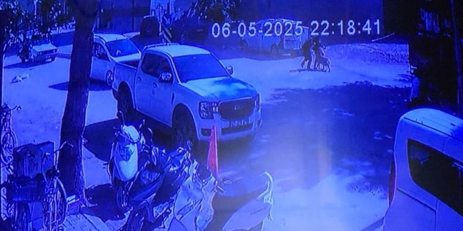 Evden kaçan köpek sokakta yürüyen kızlara saldırdı