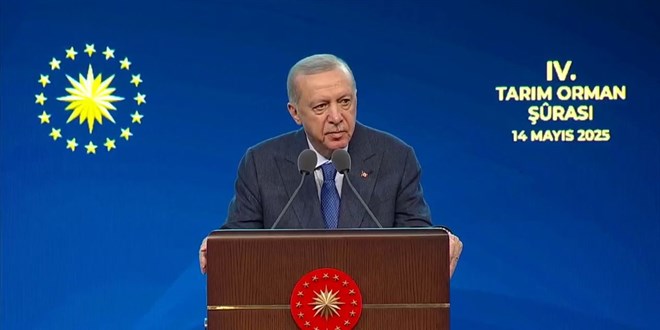 Erdoğan: İklim krizinin etkilerini daha fazla hissetmeye başladık