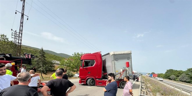 Bir arının yaptığına bak! Yüzlerce kişiyi mağdur etti