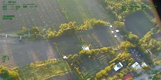 Diyarbakır'da 5 Ton Esrar Üretilebilecek Kenevir Yakalandı