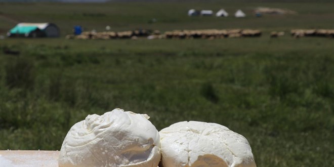 Erzincan tulum peyniri AB'de tescillendi