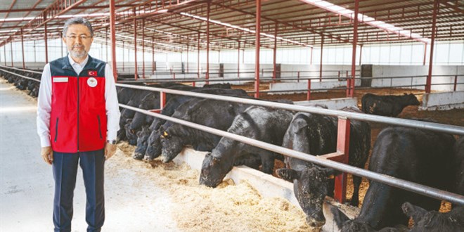 Yumaklı yeni projeyi açıkladı: Hayvan başına 18 bin TL destek