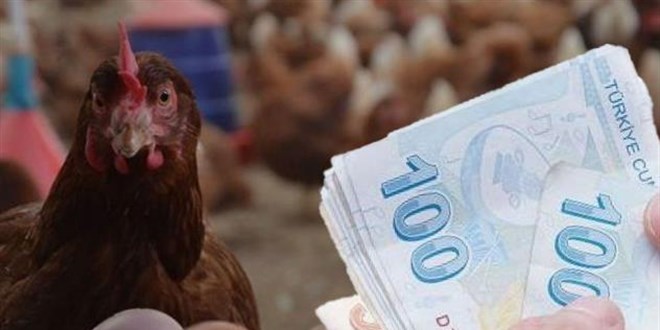 Marketlerin İnadı Kırıldı! Yumurta Fiyatlarında Sert Düşüş