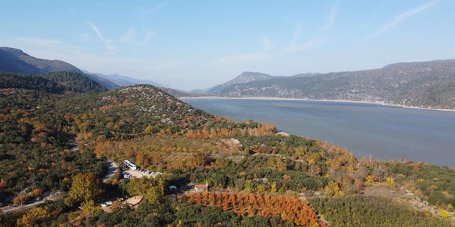 Muğla'da Ormanlara Giriş Yasaklandı: Hangi Bölgeler Etkilendi?