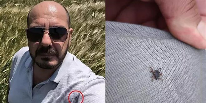 Tarlada selfi yaparken üzerinde kene olduğu fark etti