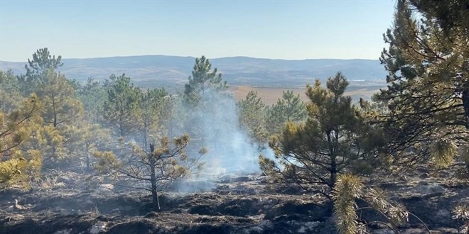 Çorum'da 'yangın' tedbiri: Ormanlar girişler 31 Ekim'e kadar yasak