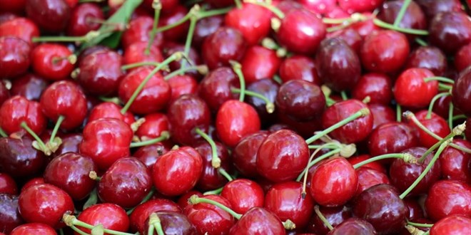 745 TL'ye satılan kirazın üretici fiyatının 40 TL olduğu ortaya çıktı