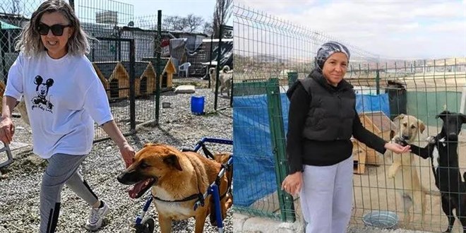 Hayvanları Koruma Maskesiyle Dolandırıcılık! Milyonlar Buhar Oldu