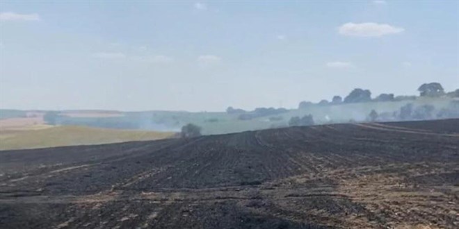 Tekirdağ'da 1500 dönüm alan yandı