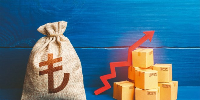 TL ile Dış Ticaret 700 Milyar Lirayı Aştı, Rekor Kırıldı