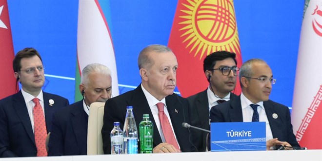 Erdoğan'dan Ekonomik İşbirliği Zirvesi'nde İklim Vurgusu
