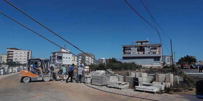 Antalya'da Başıboş Köpek Kazaya ve Yangına Neden Oldu