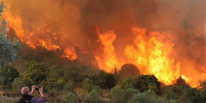 Kanun Teklifi Meclis'te: Ormanları Yakanlara Müebbet Hapis!