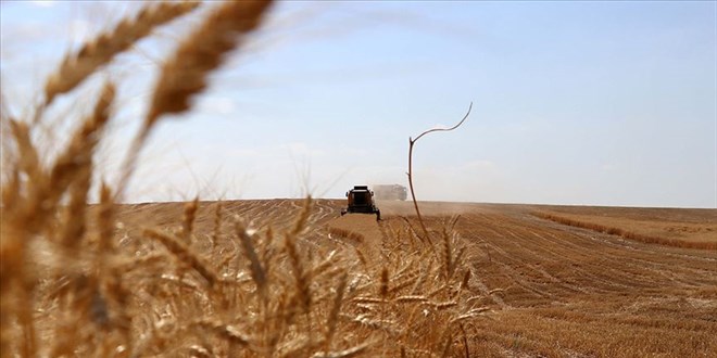 Türkiye tarımsal hasılada dünyada ilk 7 ülke arasına girdi