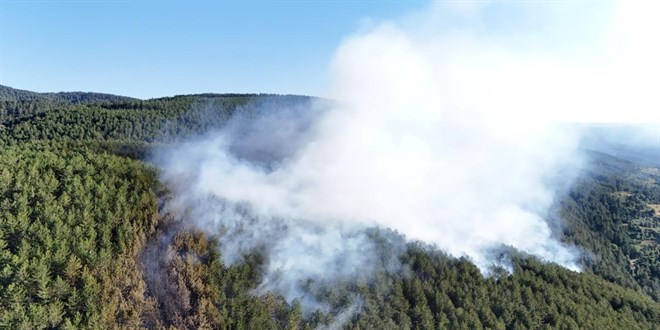 Ilgaz'daki orman yangını kontrol altına alındı