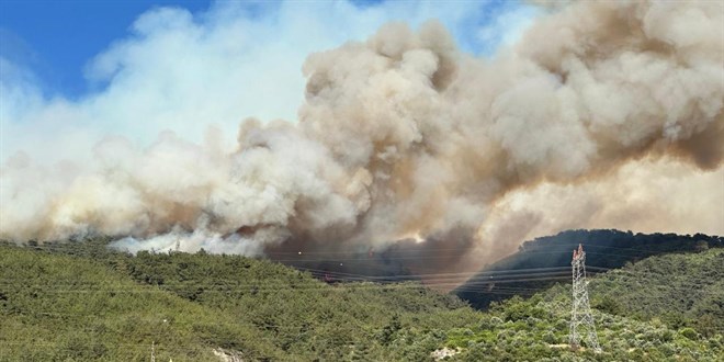 Hatay'daki orman yangınıyla ilgili bir şüpheli tutuklandı