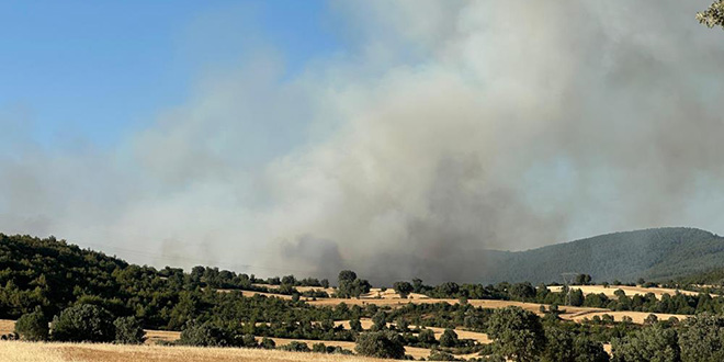 Uşak'ta orman yangını: 21 ev ve 1 çiftlik boşaltıldı