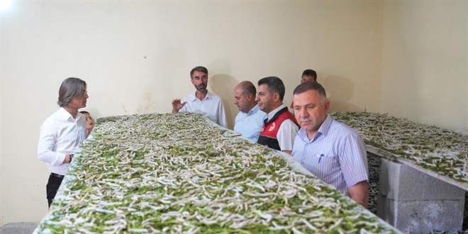 'Böcekle mi uğraşacaksın' sözlerine aldırmadı, binlerce lira kazandı