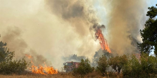 OGM'den yangın uyarısı: Bir anlık dikkatsizlik afete neden olabilir