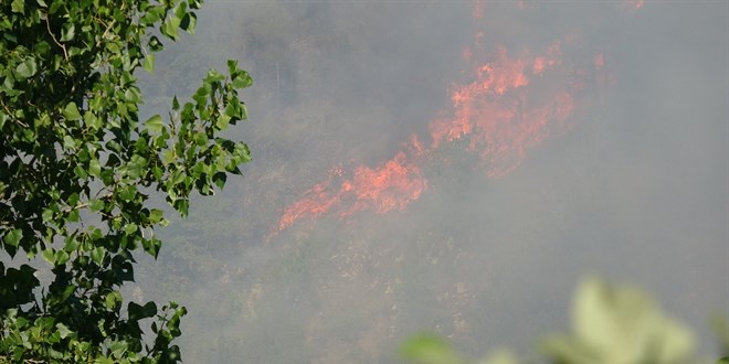 Karabük'te ormanlık alanda çıkan yangına müdahale ediliyor