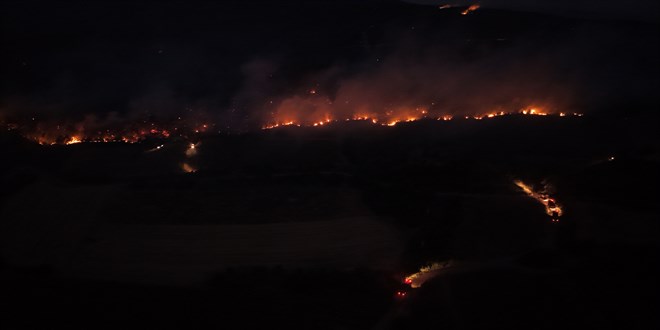 Sakarya'da çıkan orman yangını 4. gününde
