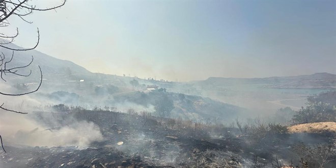 Antalya'nın iki ilçesindeki orman yangınlarına müdahale sürüyor