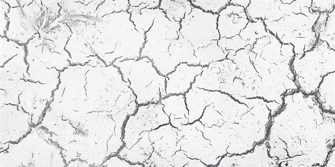 8 göl için 'acil eylem planı' hazırlanacak