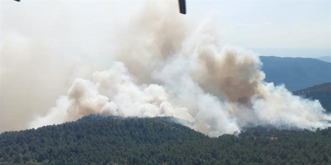 Sinop'ta Orman yangını! Bir köy tahliye edildi