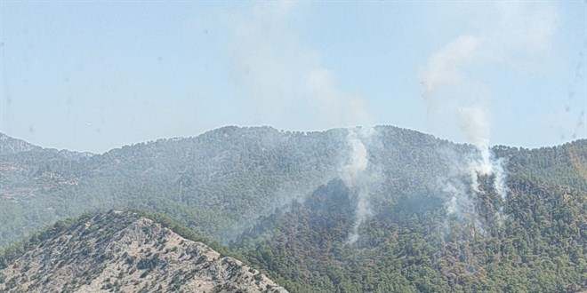 Mersin'de orman yangını çıktı