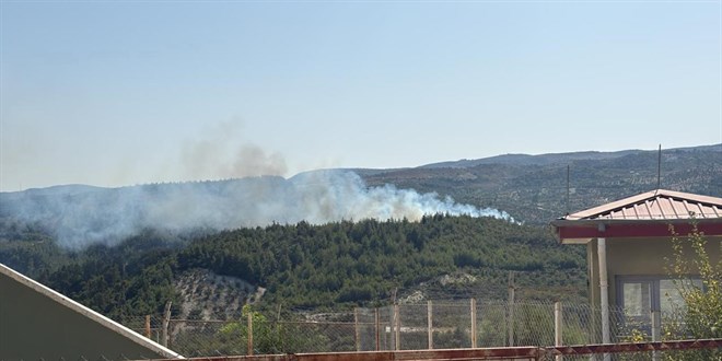 Hatay'da çıkan orman yangını kontrol altına alındı