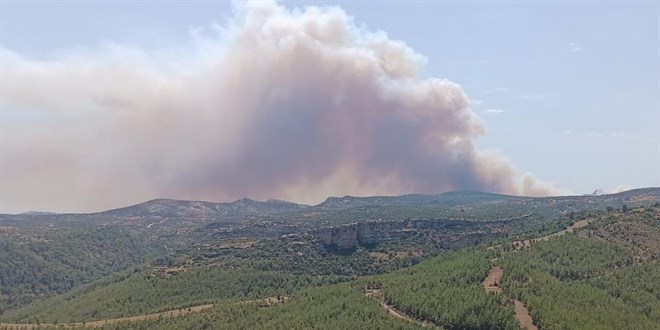 Mersin'de ormanlık alanda yangın çıktı