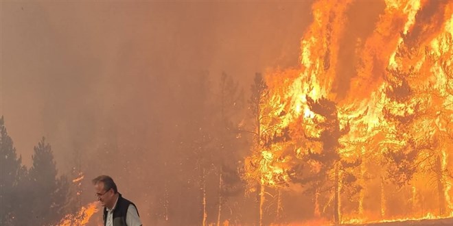 Bolu'da orman yangınına neden olan 1 şüpheli tutuklandı